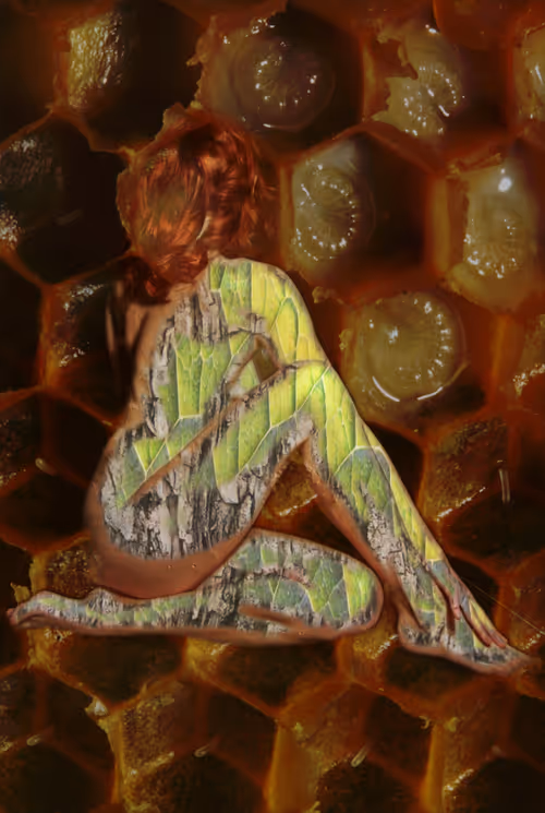 Item #107535940419260681703962368564054865999674498816628891337587927061323396939777 Media