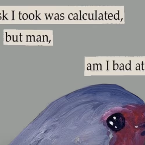 chintheman87 Collection - old