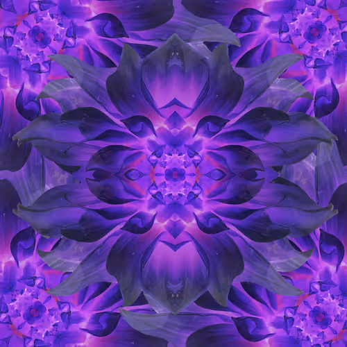 Item #91781735093118699696434520670287777768220552675276718009576234535417064456193 Media