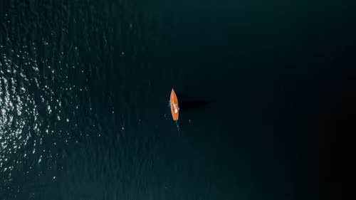 Item #31604293560447121238742693731048088612927650958644571760559913361128076345345 Media