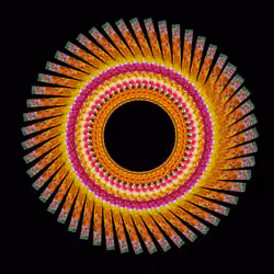 6
