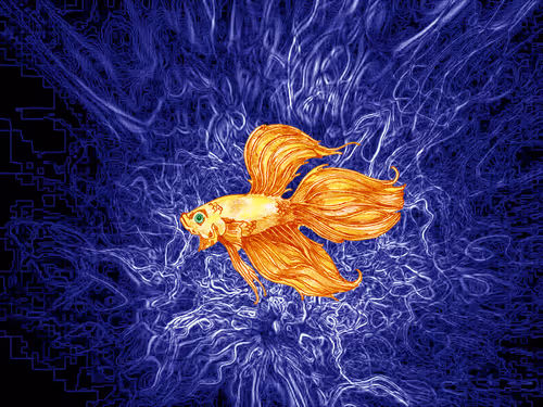 Item #17097077129018536031525372340810210756092446357988612830833684267768704139265 Media