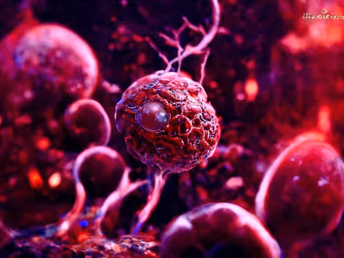 Item #83775243434754572801779238830324367876031517126168399019794835370828206440449 Media