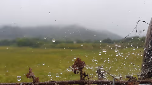 Item #113362109709365944141137886500163150931447814244950449187042120708439230382081 Media