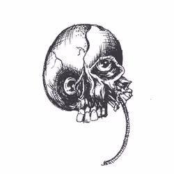 Skull #8