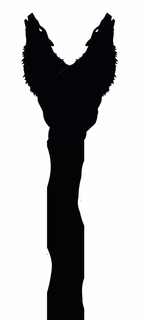 Item #4462937943681698324636995727716076260148281246504850387677839592069565251585 Media