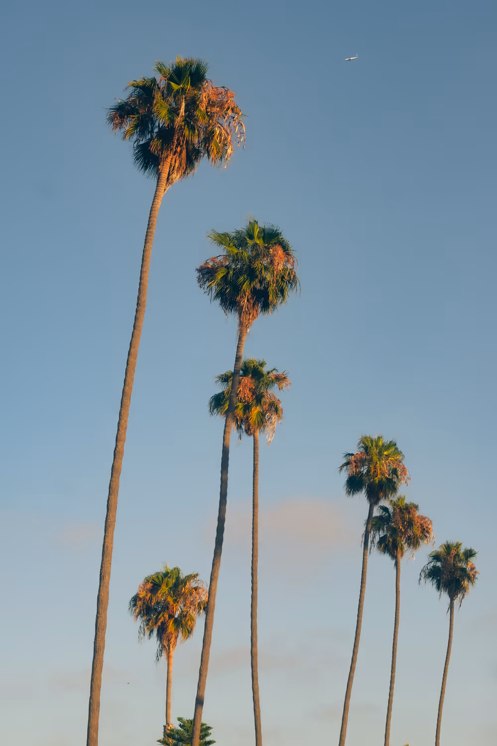 Somewhere Else: 070 - Royal Palms