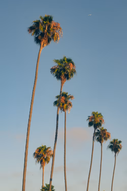Somewhere Else: 070 - Royal Palms