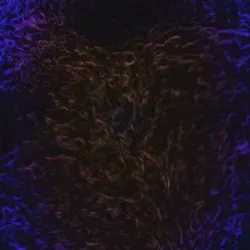 Center Mass