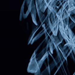 The edges of our minds