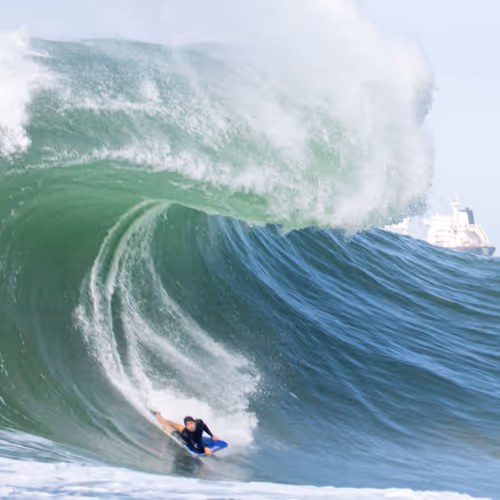 NXFBODYBOARD Collection