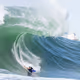 NXFBODYBOARD Collection