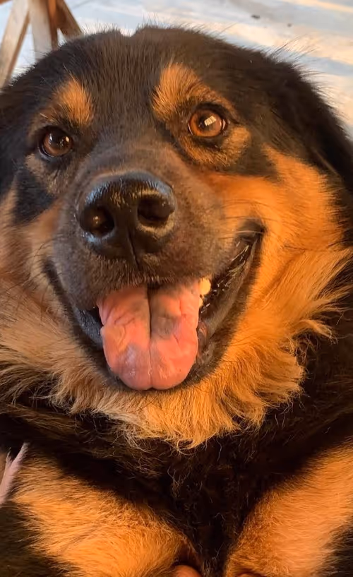 Item #56055091060271351536523847984853154360378800009370414984463609038279448461313 Media