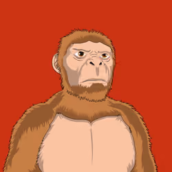doxxed apes #003