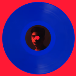 Vinyl - Nectar #08
