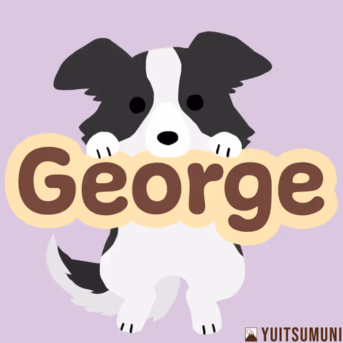 Item #39837699526755023062409748466056833287670349172997506303134735495742479138817 Media