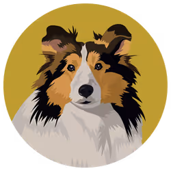 54766349128176429303044182404049584425310907481653304317570413798990937063425