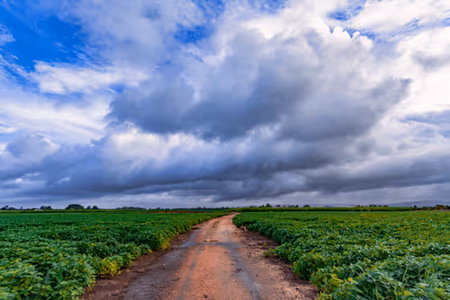 Lonely Roads