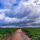 Lonely Roads