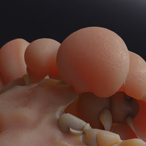 87858548873057691610145785827924316116903784724900626045837508999208169897989