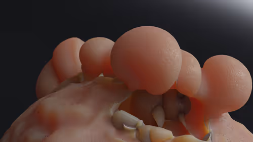 Item #87858548873057691610145785827924316116903784724900626045837508999208169897989 Media