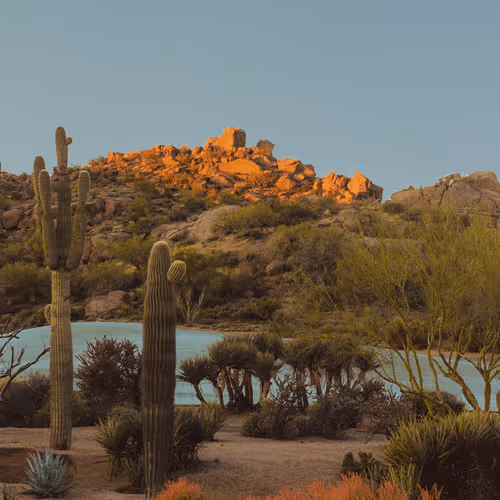 Editions by Alex Kittoe