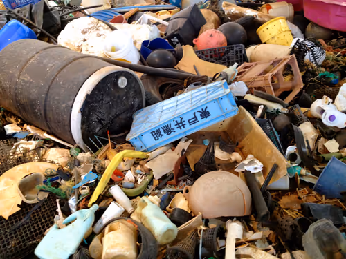 Item #1016150161625918192633671563975848473053404478538428690861967364828809920513 Media