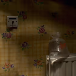 109162157552346088047496633038404394118504199992061596446112929535860943093761