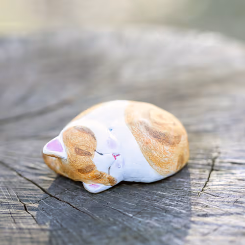 Item #24077195676896516994650422904961847190246203618531387184042737702974680727553 Media