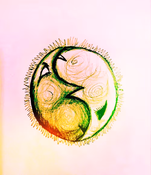 Item #37044860932901534189017535807041573060097593019303084193156804933414455083009 Media