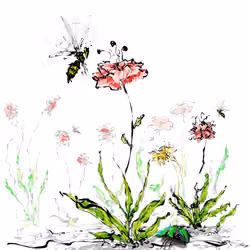 Spring#11