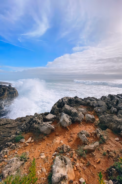 Item #87437796613186929378700543241319295806287125900492295293780334165673199534081 Media