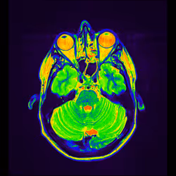 64162533542198579898252916190583583845604629893829087458582976094337692073985