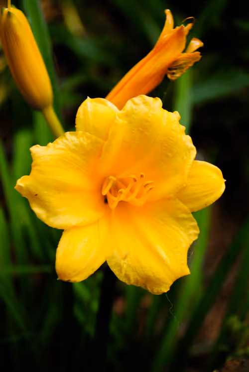 Item #40090172695085413256965535555586358742660933280315103792741764921849183993857 Media