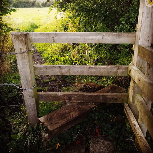 Item #105237010342582609876748436582366170093723610565651913513256945298478007844865 Media