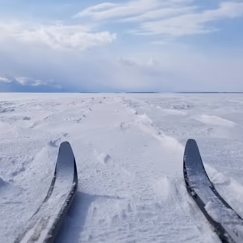 The Road Ahead