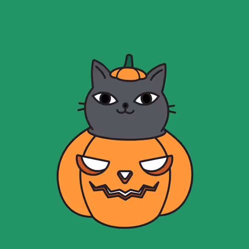 Cats Fest