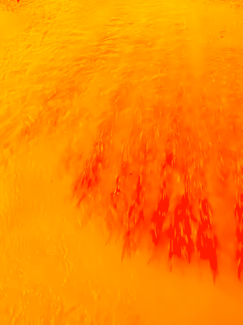 Item #98843954857266856101330559780238873570552098425130206222908041957181659021313 Media