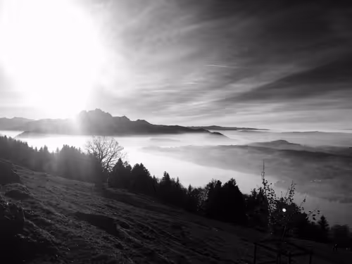 Item #85194694313482311992552065383091349733229460472009518407910609862988314705921 Media