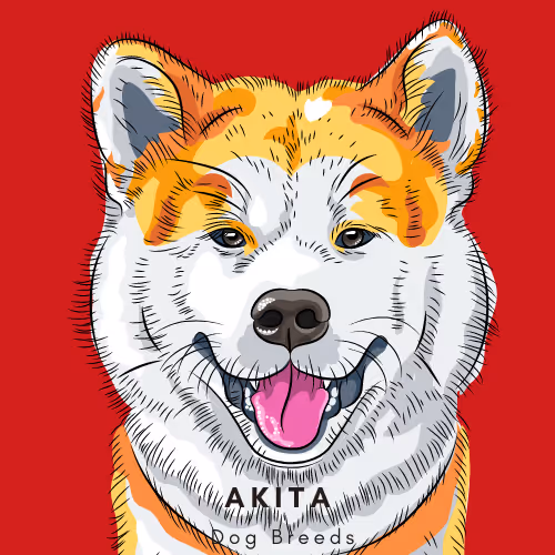 Item #102435799496306094734793923269386745647945406749022464082574321272987074953217 Media