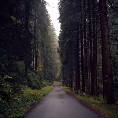 Item #30121090533068634730460792685537461567950127940617948076373458094763565645825 Media