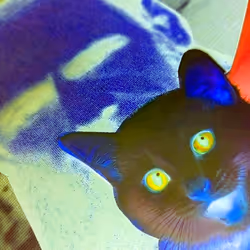 4747115153065902387790593868107453782499677024781155622119190001596544057345