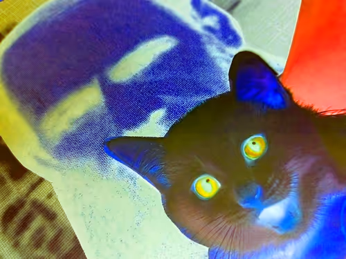 Item #4747115153065902387790593868107453782499677024781155622119190001596544057345 Media