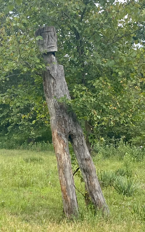 Item #42060316443796044655874448796589109731243459605113798624793464043772821110785 Media