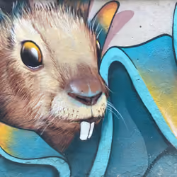 Rabbit on the Wall