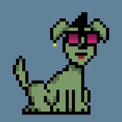 PunkDog #1374