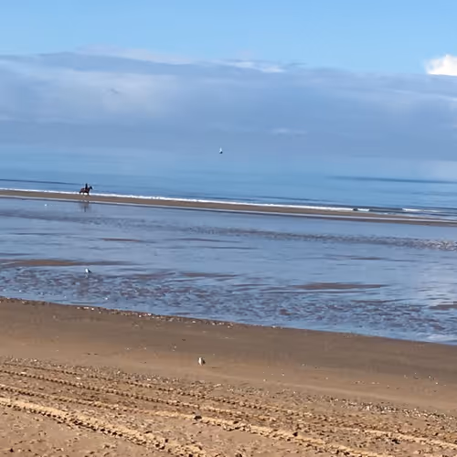 Viewoflandscapes