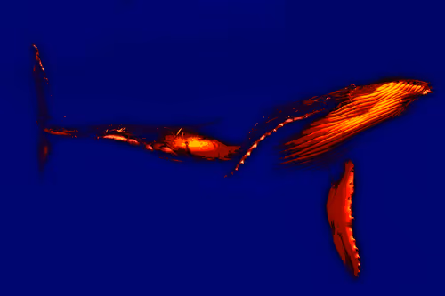 Item #104099004194732186528107260891908231378147874233508203101203207565419141398529 Media