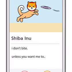 Shiba Inu