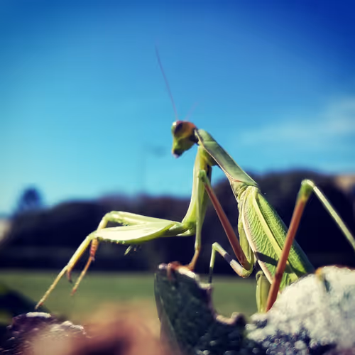 Privat_Art Collection